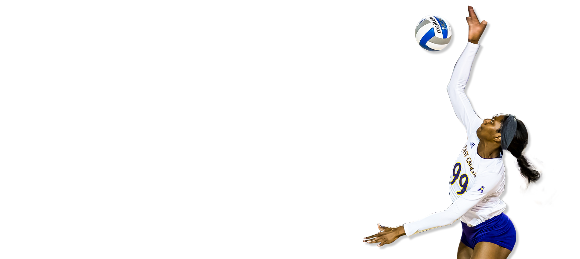 Premier Volleyball Camps