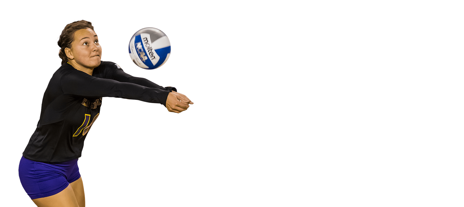 Premier Volleyball Camps